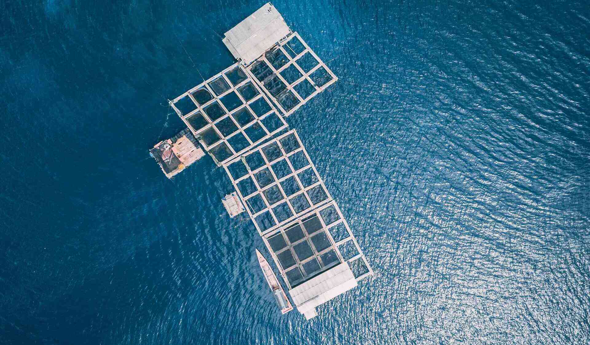 Nông nghiệp thủy sản